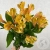 3 Альстромерии желтых в магазине Цветы Планеты 3 Альстромерии желтых