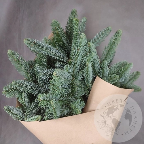 Букет из нобилиса 3 ветки в магазине Цветы Планеты