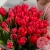 51 тюльпан красный в магазине Цветы Планеты