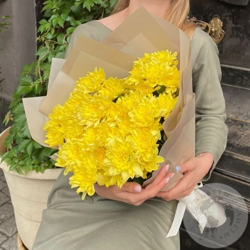 7 желтых кустовых хризантем