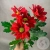 Хризантема кустовая красная