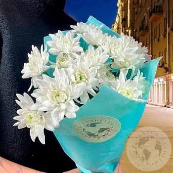 5 Хризантем кустовых белых 5 Хризантем кустовых белых