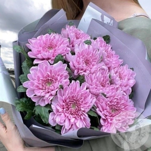 Букет из 9 розовых одноголовых хризантем в магазине Цветы Планеты