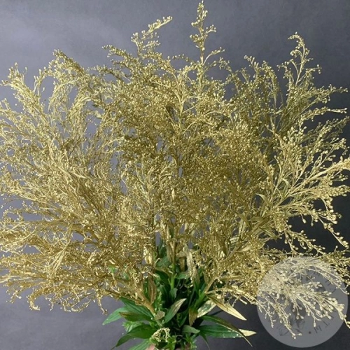 Солидаго Золото 7 шт. в магазине Цветы Планеты