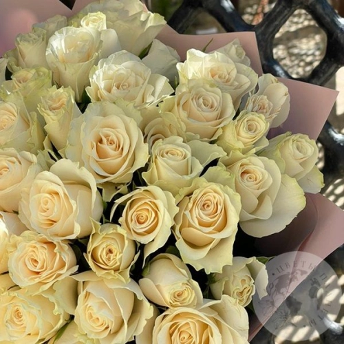 51 белая роза 40 см. в магазине Цветы Планеты