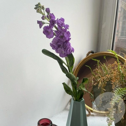 Маттиола сиреневая в магазине Цветы Планеты