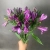 7 Альстромерий фиолетовых в магазине Цветы Планеты 7 Альстромерий фиолетовых