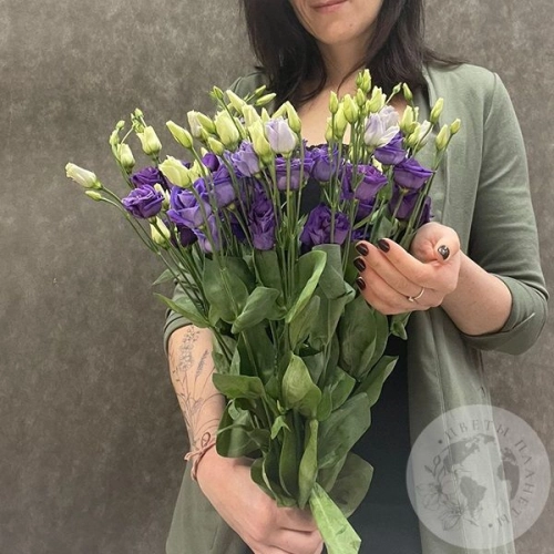 Эустома фиолетовая 7 шт.