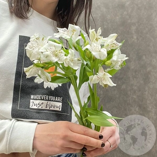 3 Альстромерии белых