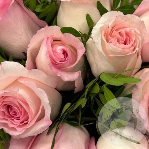 Букет из роз и фисташки в магазине Цветы Планеты