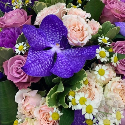 Букет из роз, танацетума, ванды "Фиолетовый"