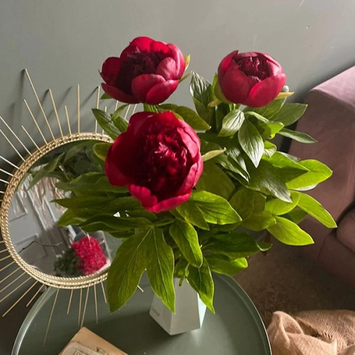 3 пиона бордовых в магазине Цветы Планеты