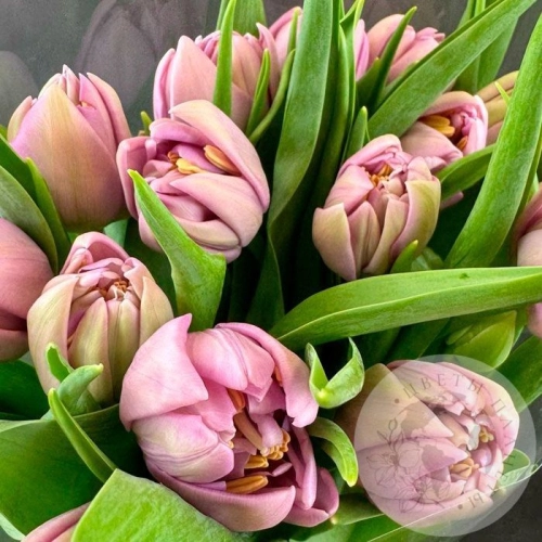 11 розовых пионовидных тюльпанов в магазине Цветы Планеты