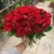 Букет красной розы 51 шт. 40 см. в магазине Цветы Планеты