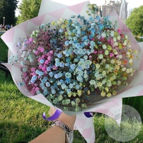 Букет из гипсофил крашенных в магазине Цветы Планеты