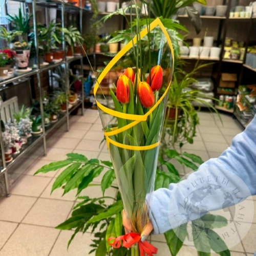 Букет из 5 тюльпанов красно-желтых в магазине Цветы Планеты