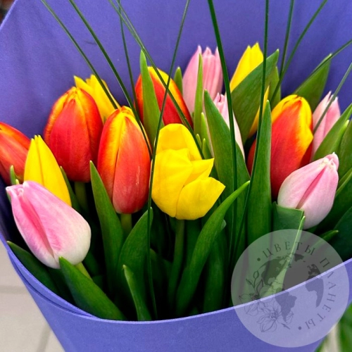 15 тюльпанов микс в магазине Цветы Планеты