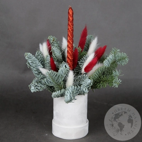 Подарки на Новогодняя композиция в коробке в магазине Цветы Планеты