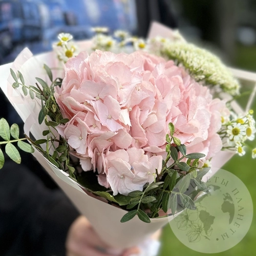 Букет с гортензией и фисташкой в магазине Цветы Планеты Букет с гортензией и фисташкой в магазине Цветы Планеты