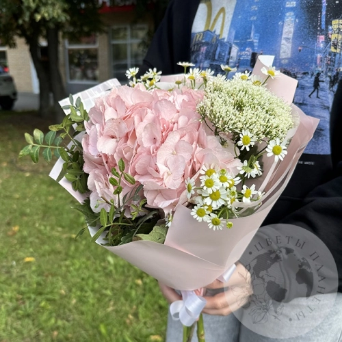 Букет с гортензией и фисташкой в магазине Цветы Планеты Букет с гортензией и фисташкой в магазине Цветы Планеты