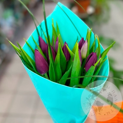 Букет из 15 тюльпанов фиолетовых в магазине Цветы Планеты