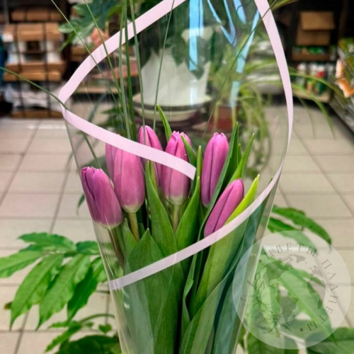 Букет из 7 тюльпанов фиолетовых в магазине Цветы Планеты