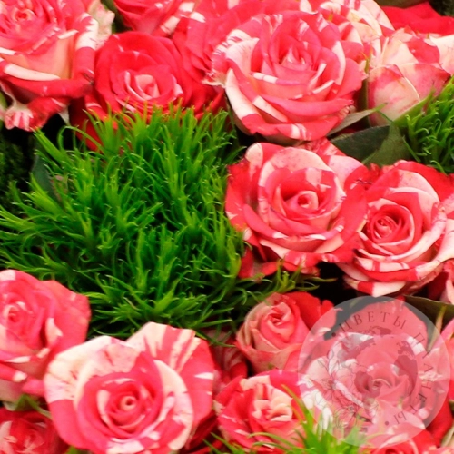 Букет из роз и зеленой гвоздики в магазине Цветы Планеты