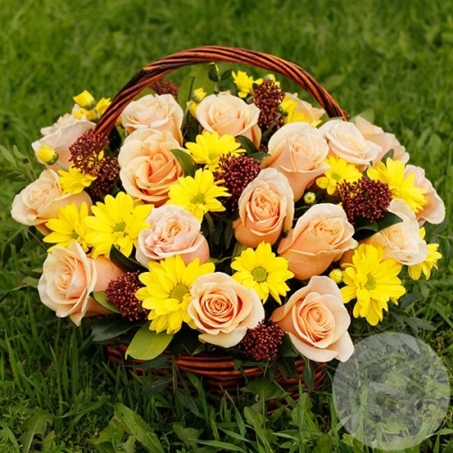 Композиция из 25 роз и фисташки в корзине в магазине Цветы Планеты