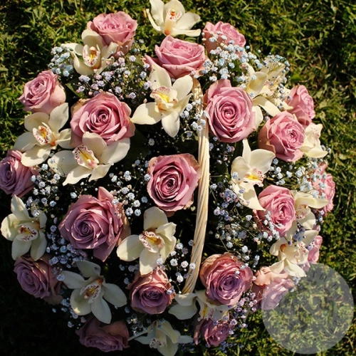 Композиция из орхидей и роз в корзине в магазине Цветы Планеты