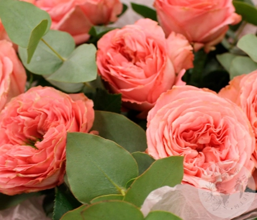 Букет из 11 роз и эвкалипта в магазине Цветы Планеты