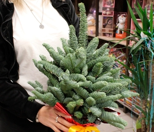 Новогодний букет из нобилиса "Елка" в магазине Цветы Планеты