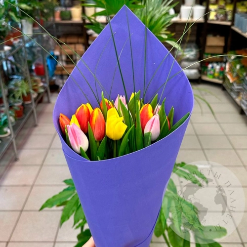 15 тюльпанов микс в магазине Цветы Планеты