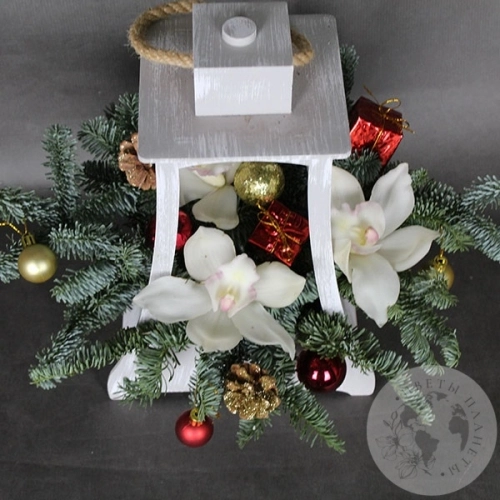 Композиция из орхидей на Новый год "Фонарь" в магазине Цветы Планеты