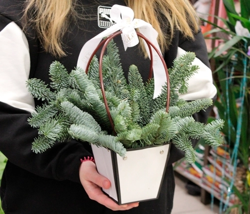 Композиция в сумке на Новый год в магазине Цветы Планеты