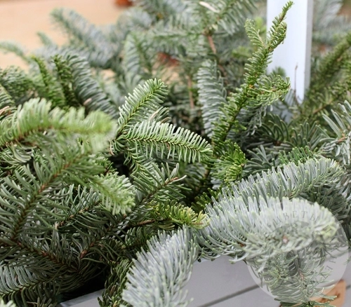 Подарки на Новогодняя композиция в ящике в магазине Цветы Планеты