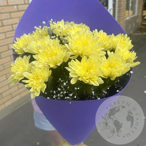Букет из хризантем и гипсофил в магазине Цветы Планеты
