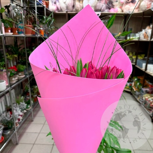 Букет 25 тюльпанов и берграсса в магазине Цветы Планеты