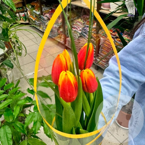 Букет из 5 тюльпанов красно-желтых в магазине Цветы Планеты