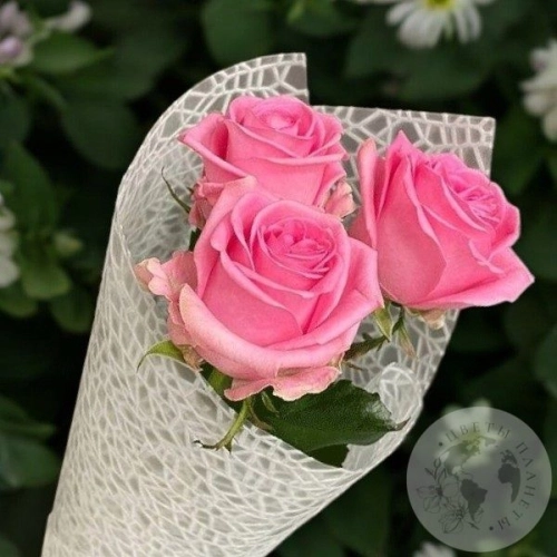 3 розы розовых 50 см. в магазине Цветы Планеты