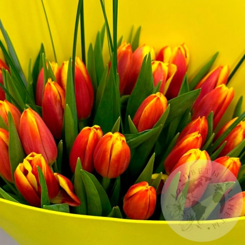Букет из 25 тюльпанов в магазине Цветы Планеты