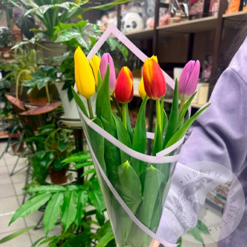 Букет 7 тюльпанов в магазине Цветы Планеты