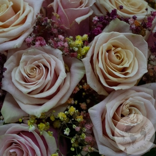 Композиция из роз, гипсофила и фисташки в коробке в магазине Цветы Планеты