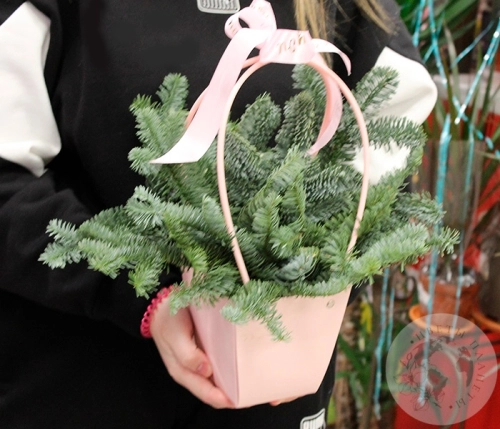 Композиция на Новый год в сумке в магазине Цветы Планеты