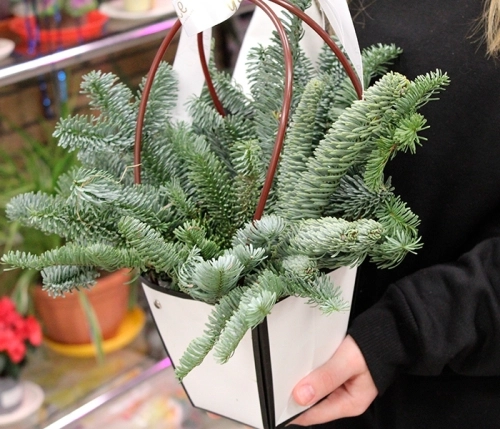 Композиция в сумке на Новый год в магазине Цветы Планеты