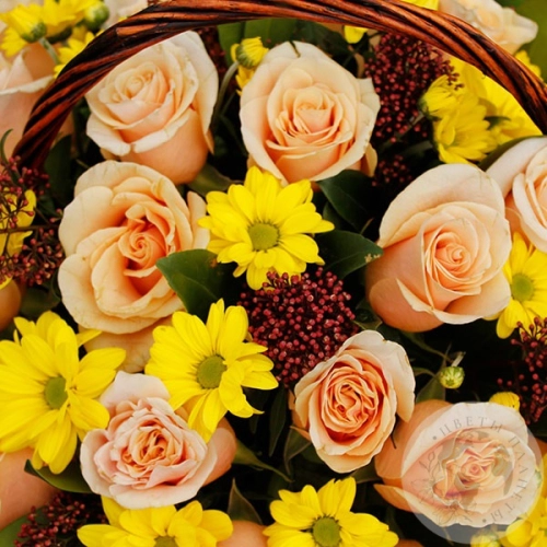 Композиция из 25 роз и фисташки в корзине в магазине Цветы Планеты