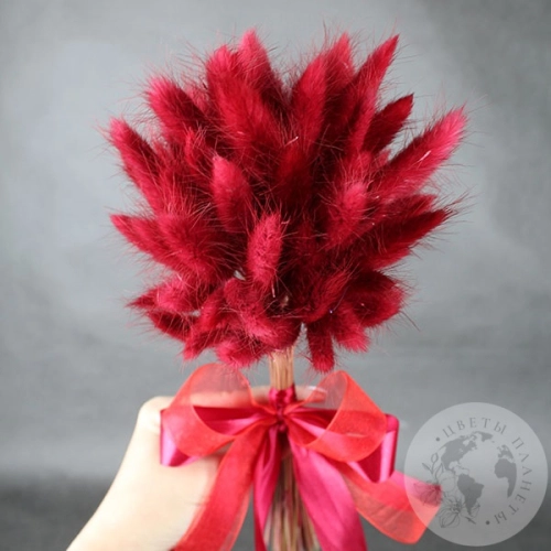 Лагурус пучок в магазине Цветы Планеты