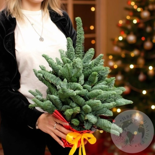 Новогодний букет из нобилиса "Елка" в магазине Цветы Планеты