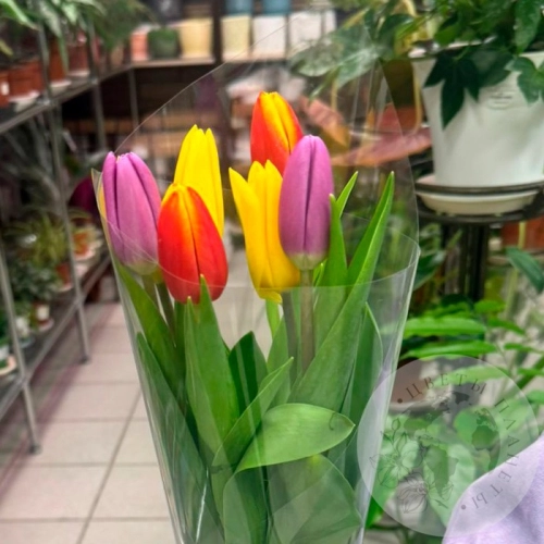 Букет из 7 тюльпанов в магазине Цветы Планеты Букет из 7 тюльпанов в магазине Цветы Планеты