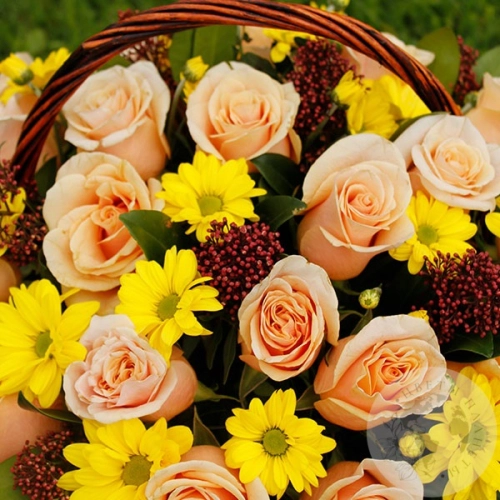 Композиция из 25 роз и фисташки в корзине в магазине Цветы Планеты