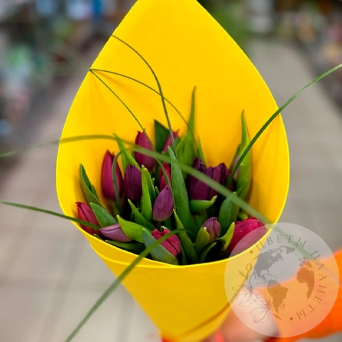 Букет из 15 тюльпанов фиолетовых и темно-малиновых в магазине Цветы Планеты